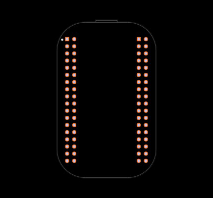 POCKETBEAGLE-SC-569 Footprint