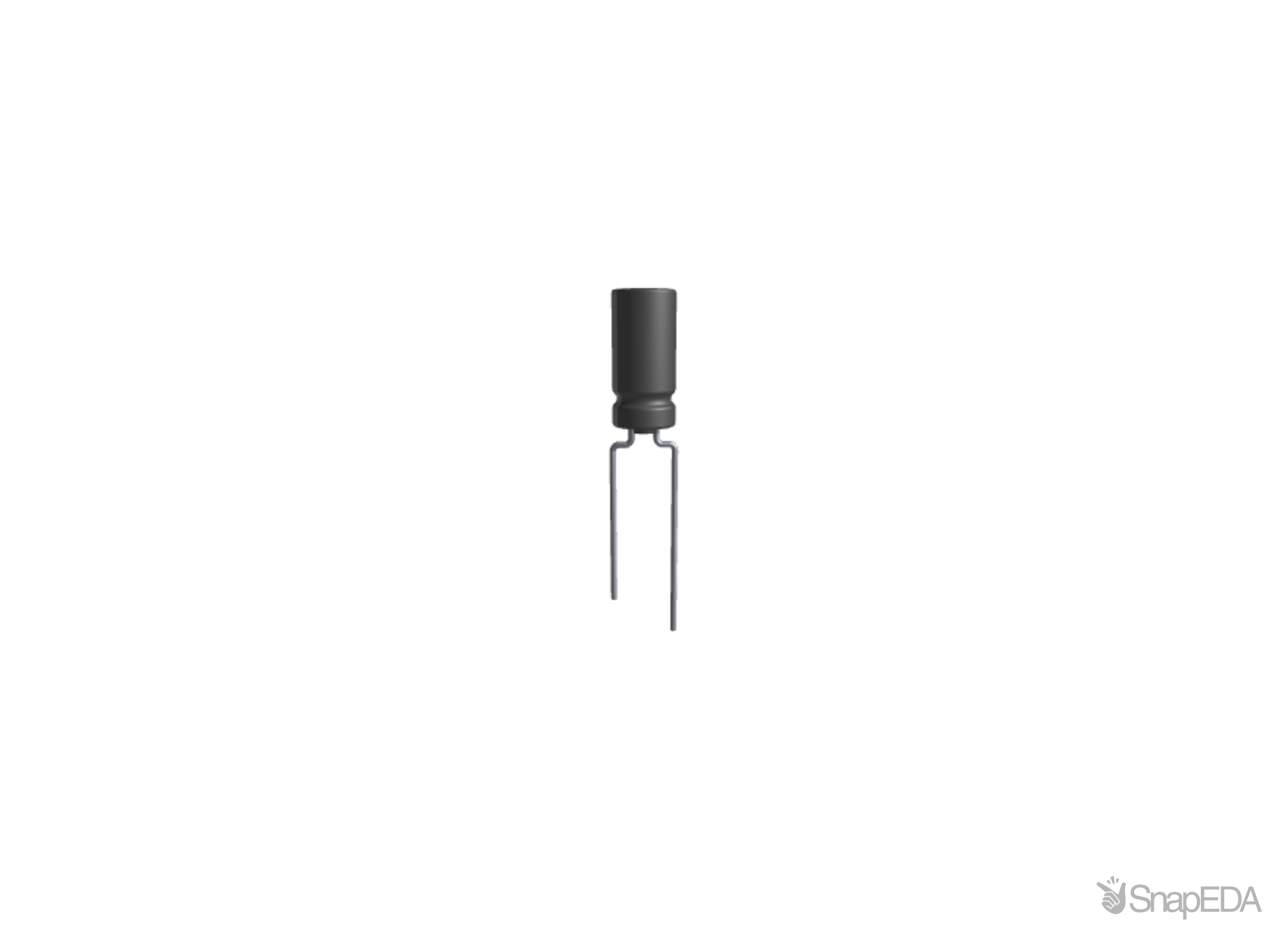 ECA1CHG101E 3D Model