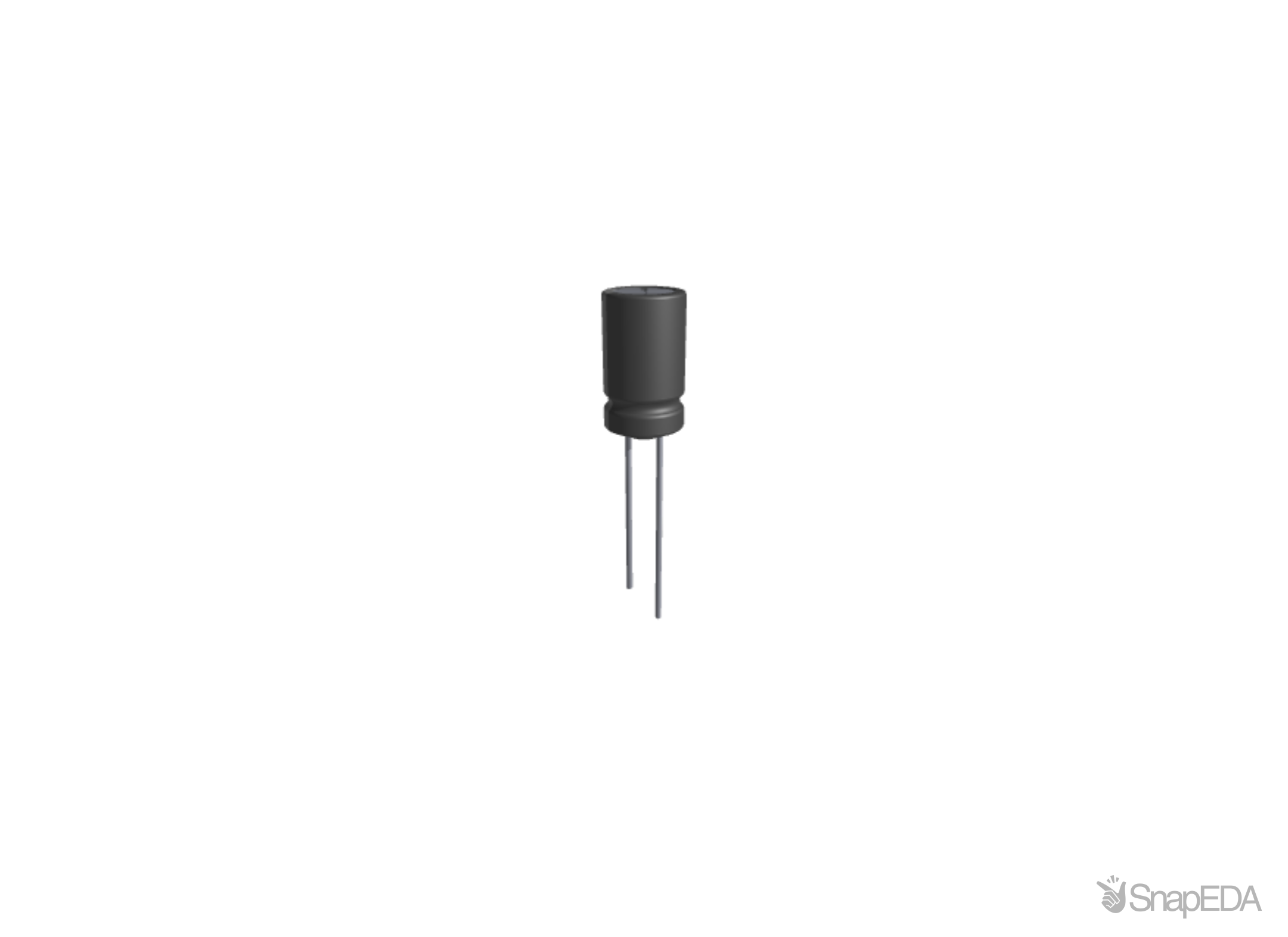 ECA1VM101I 3D Model