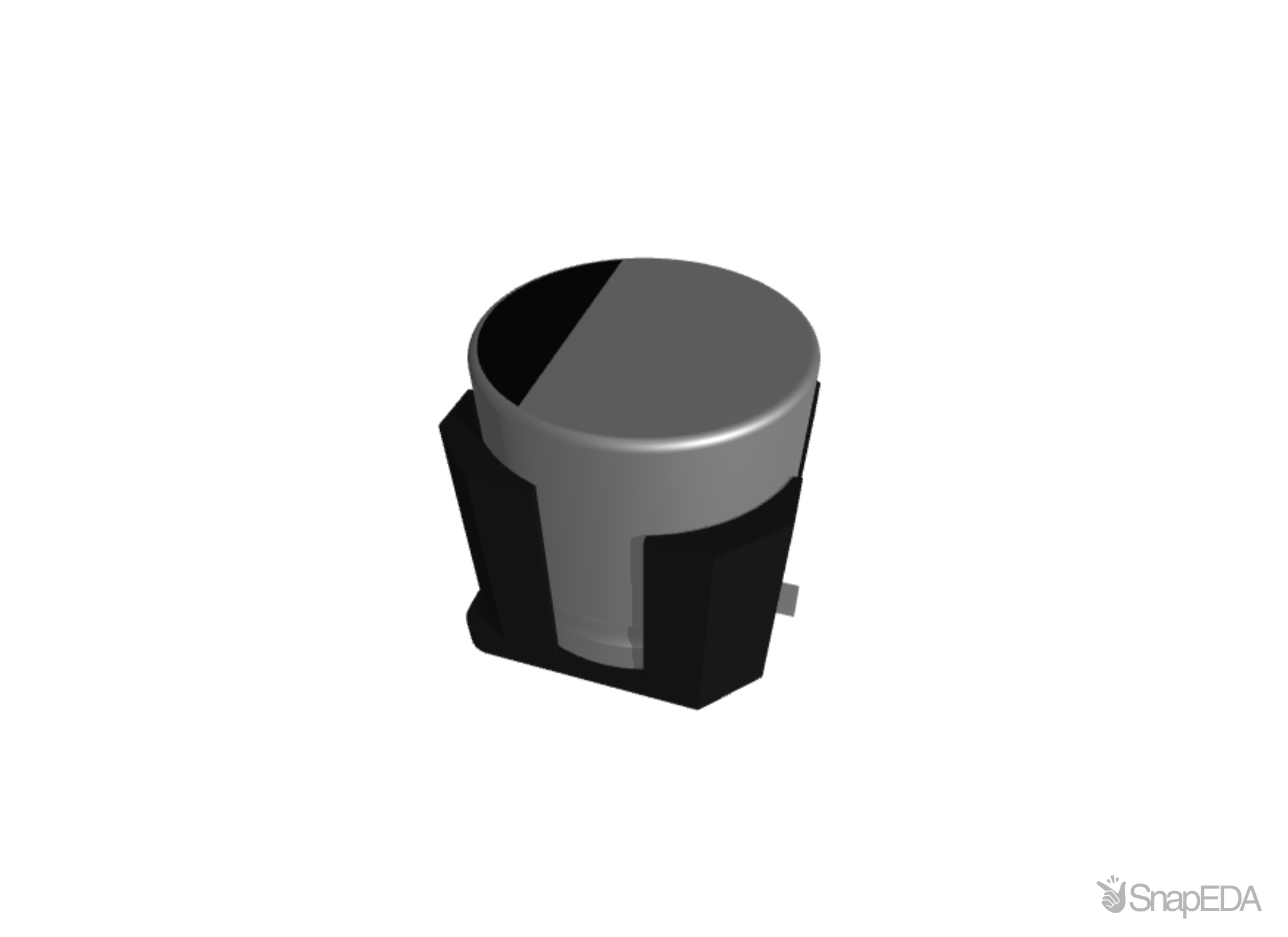 EEEFK1J121SV 3D Model