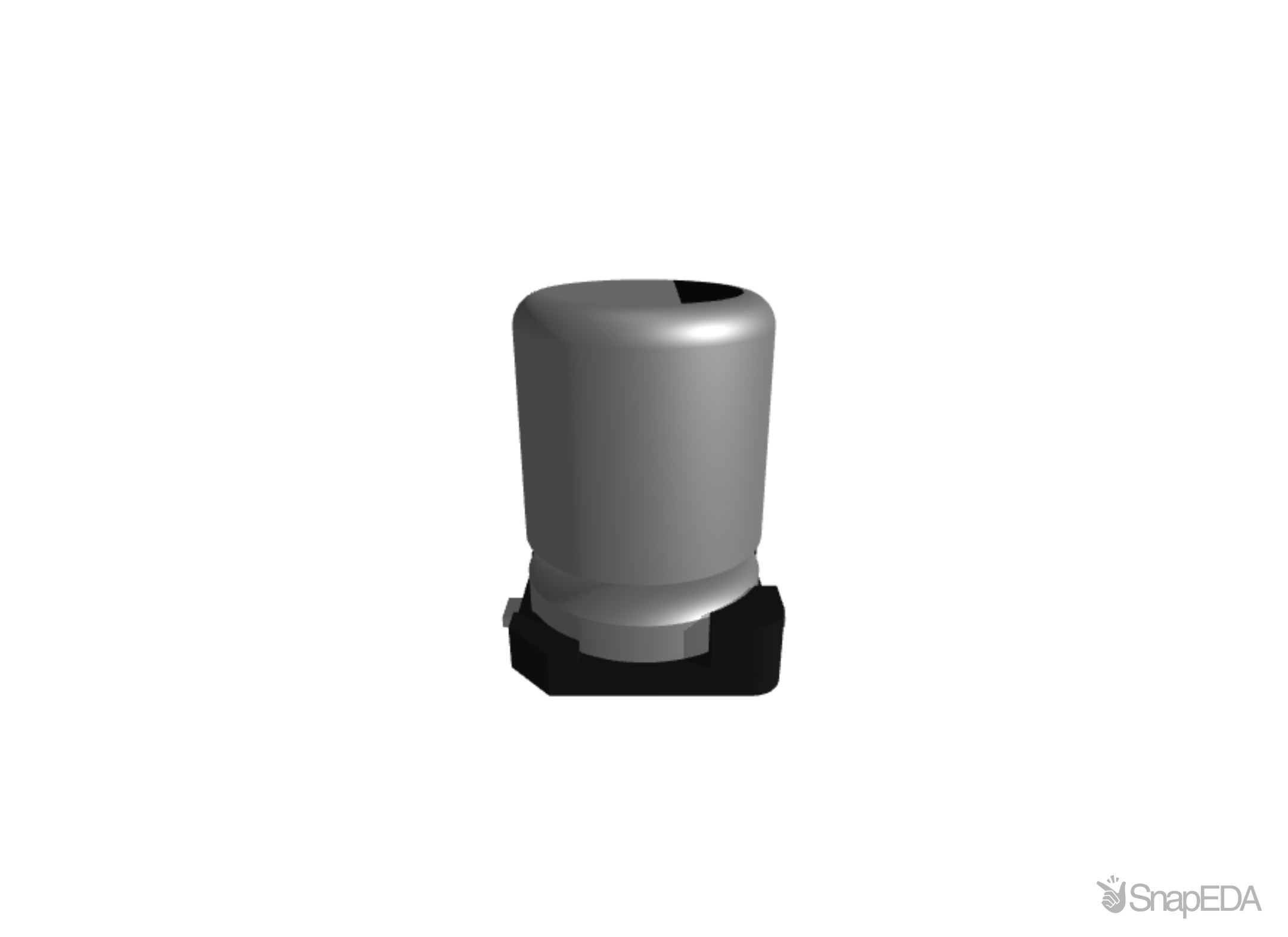 EEEHB1C100AR 3D Model