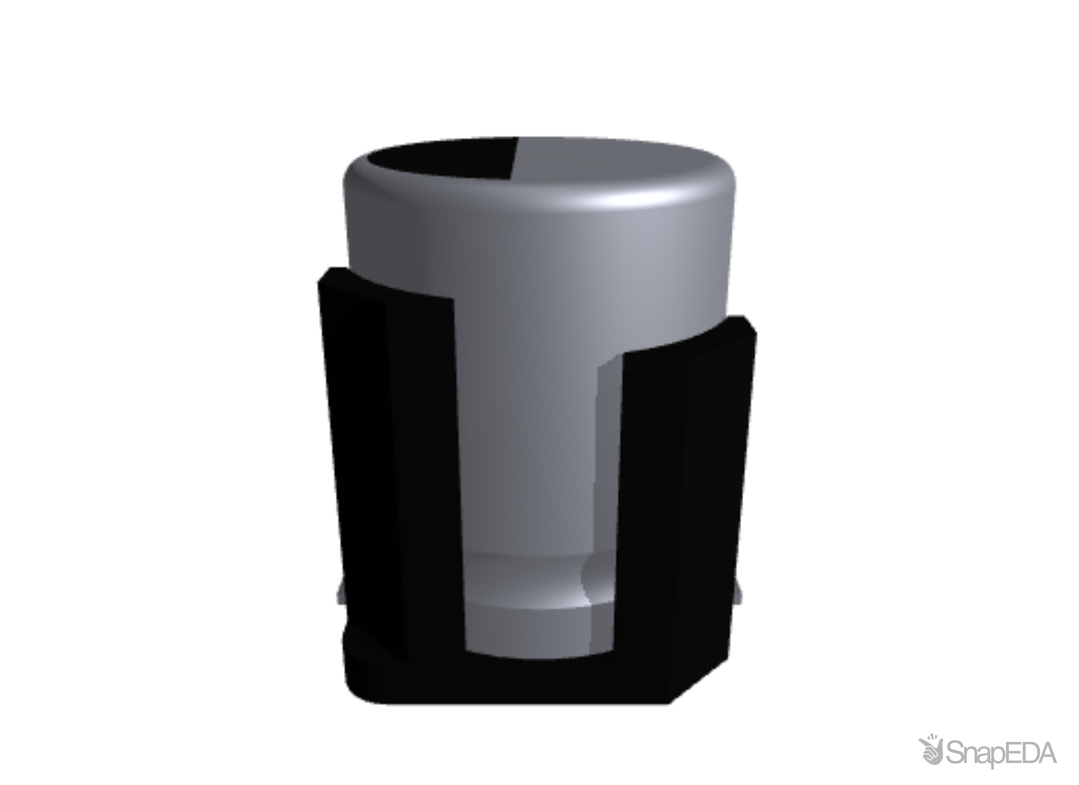 EEH-ZC1E221V 3D Model