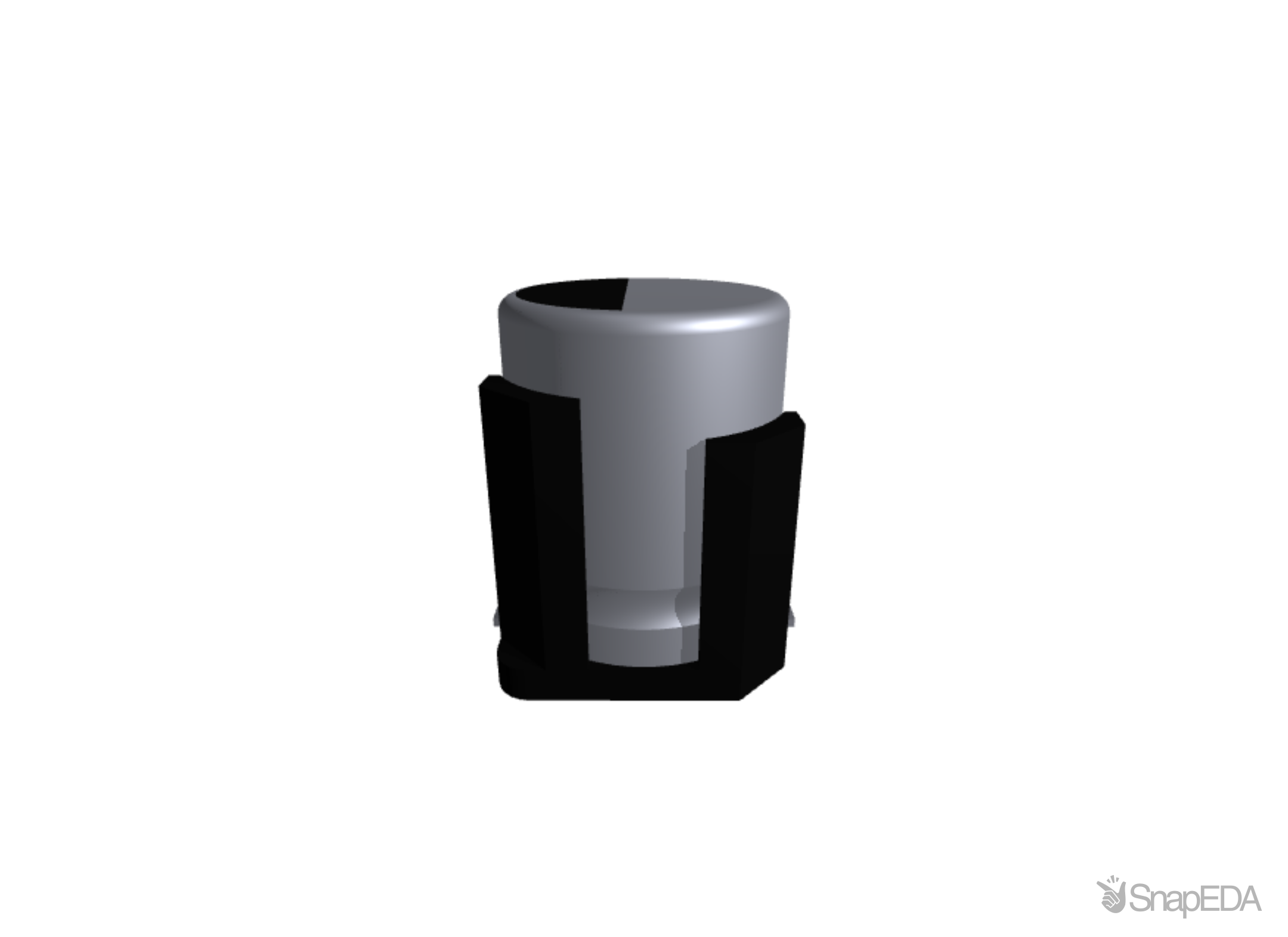 EEHZC1J470V 3D Model