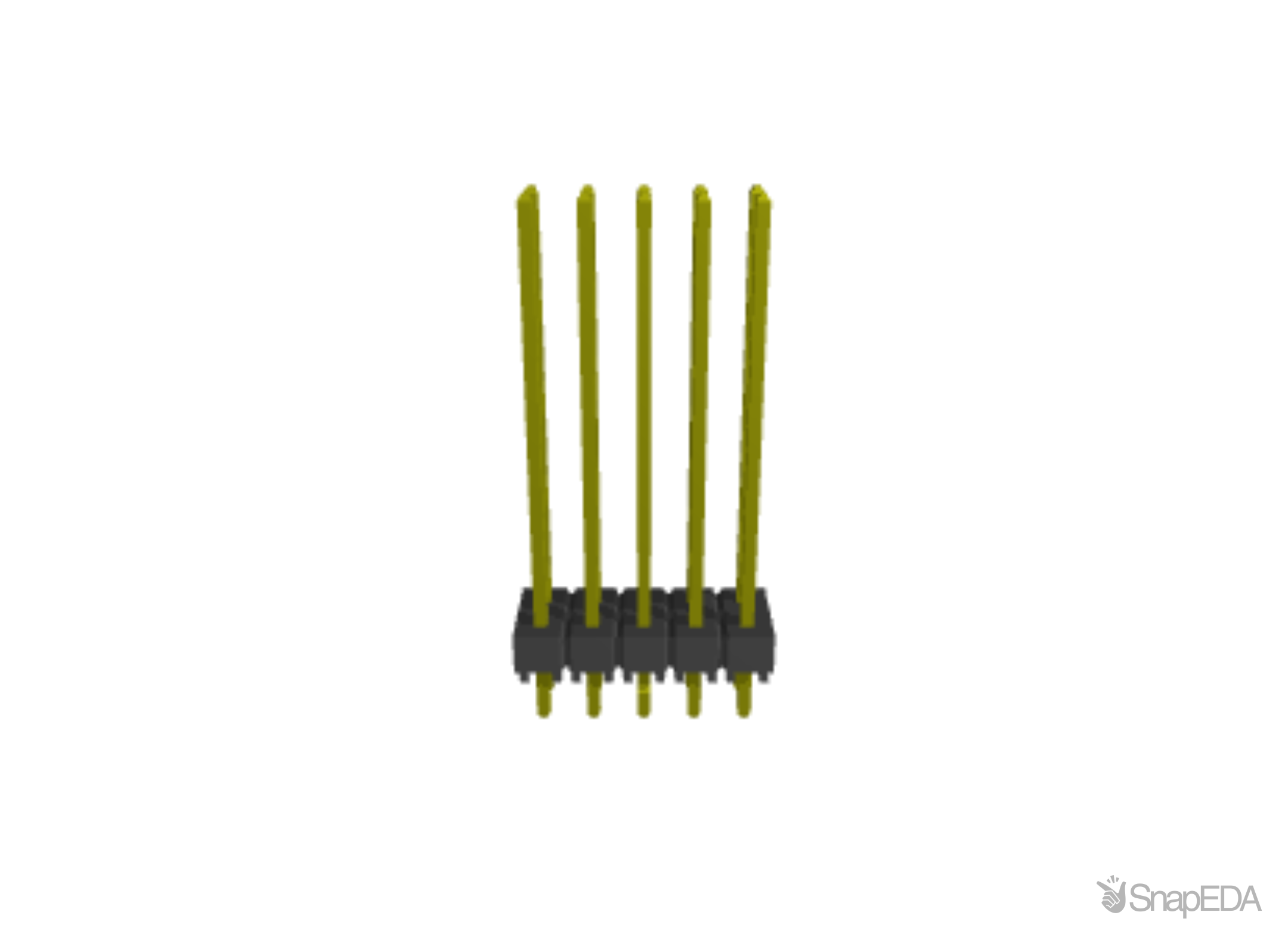 TSW-105-19-F-D-LL 3D Model