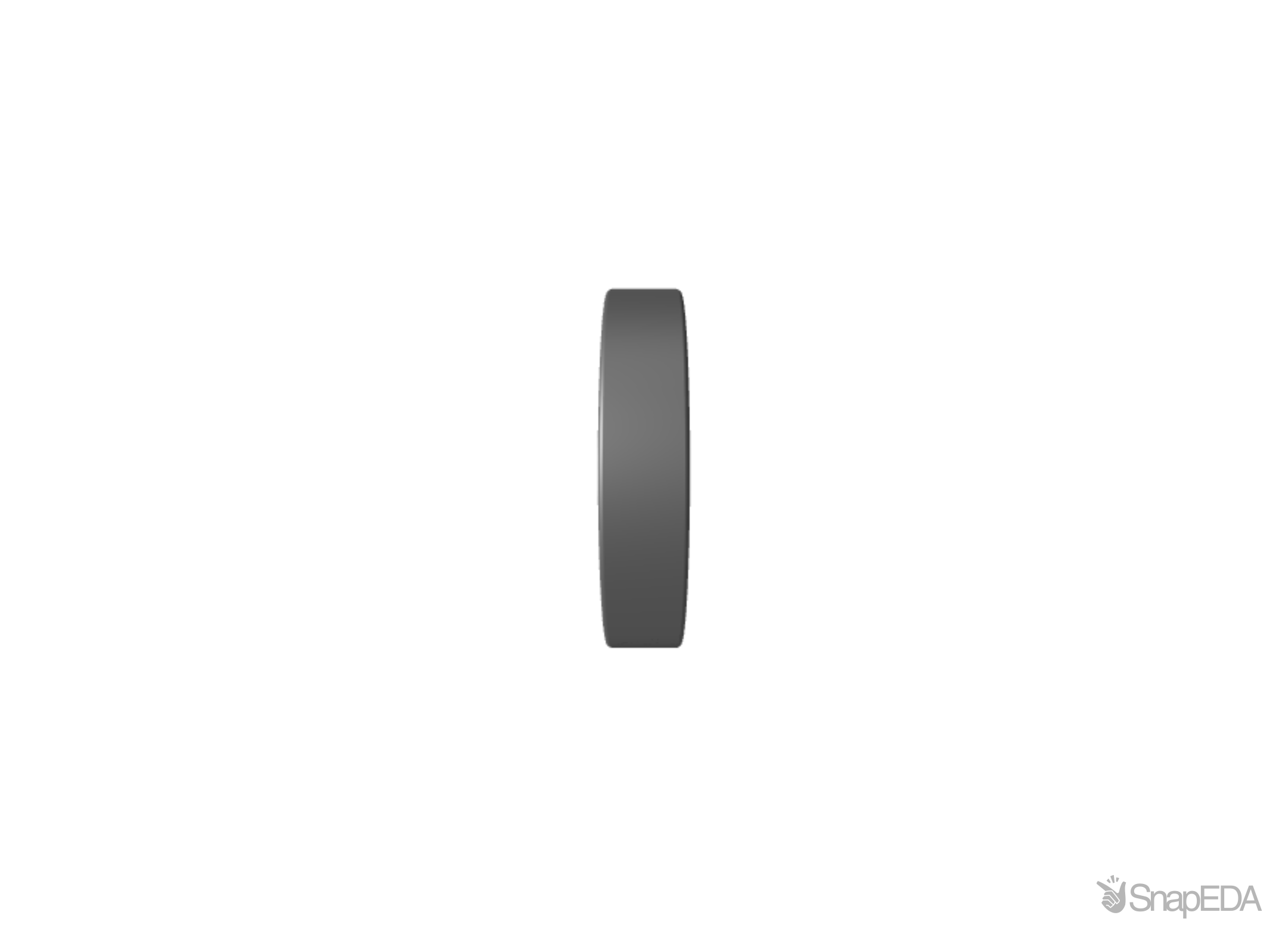 W 6010-2RS1 3D Model