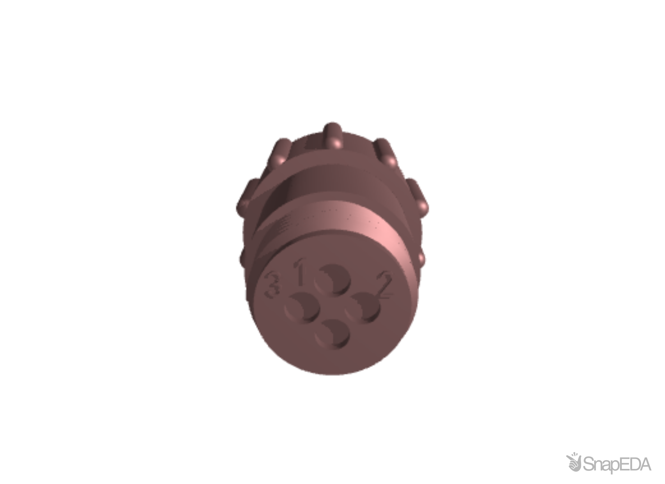 206429-1 3D Model