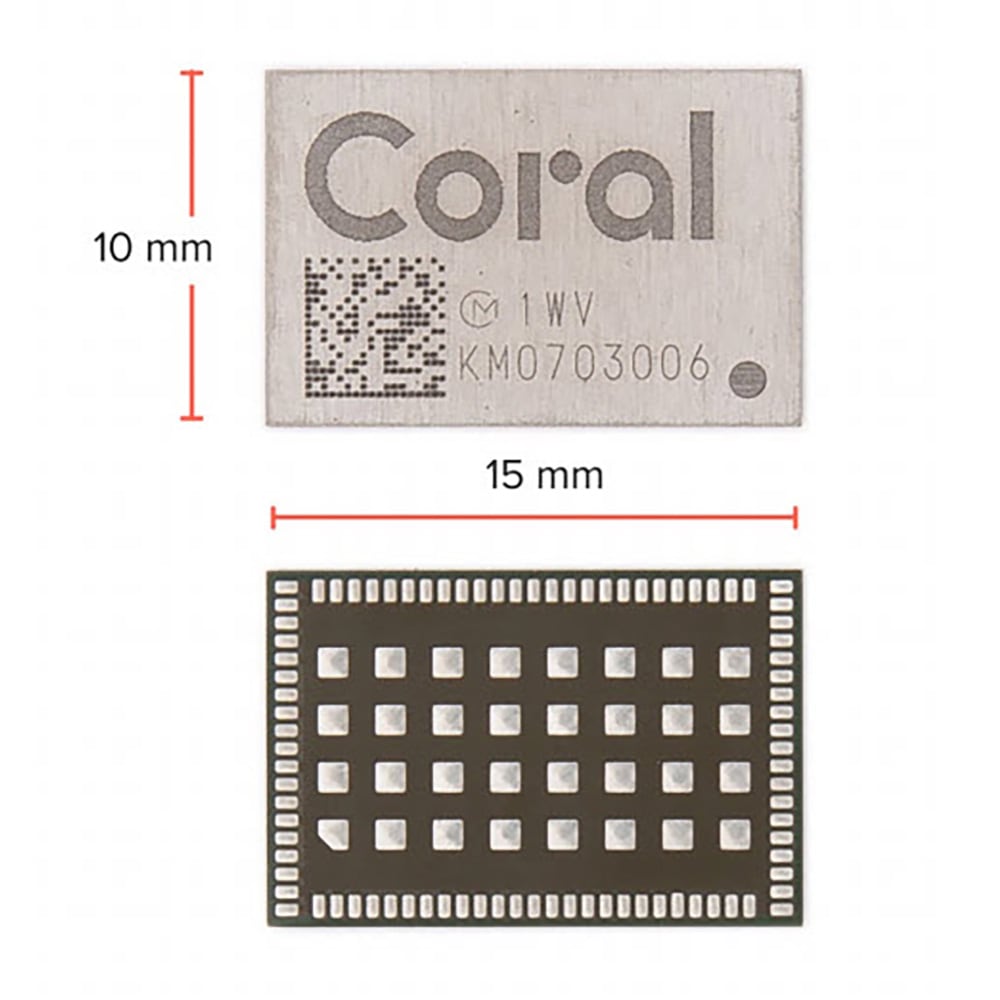 G313-06329-00 by Coral