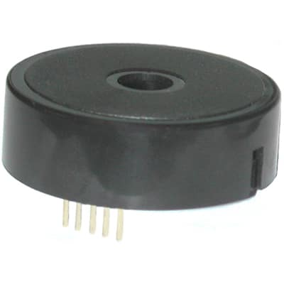 SBT5LMMTPC by Mallory