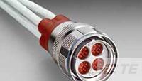 All Parts Connectors Circular Connectors CFX24W2532AZN by TE Connectivity / DEUTSCH