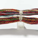 TC1101 by Thomas & Betts